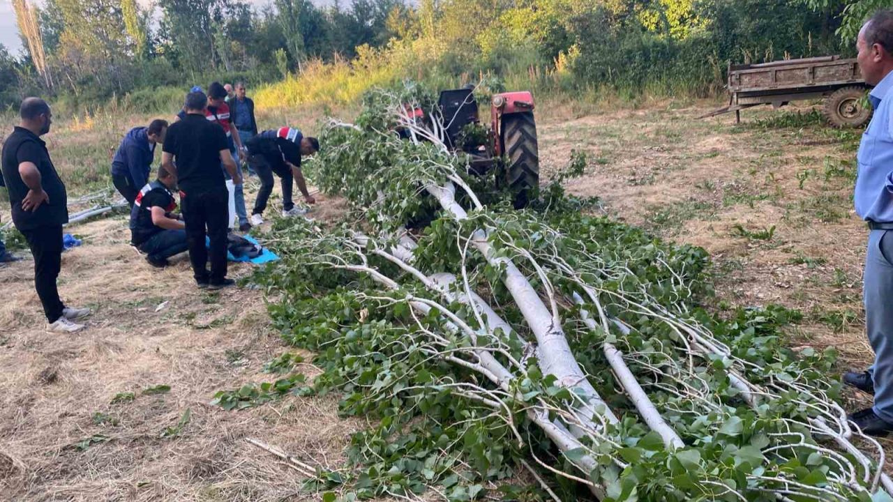 Isparta’da kestiği ağacın altında kalan adam hayatını kaybetti