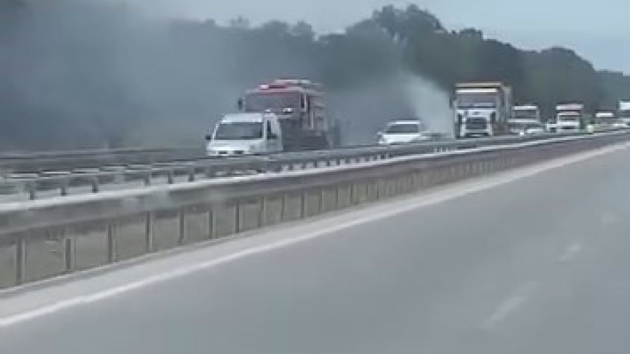 İzmir-Bursa kara yolunda alevler korkuttu
