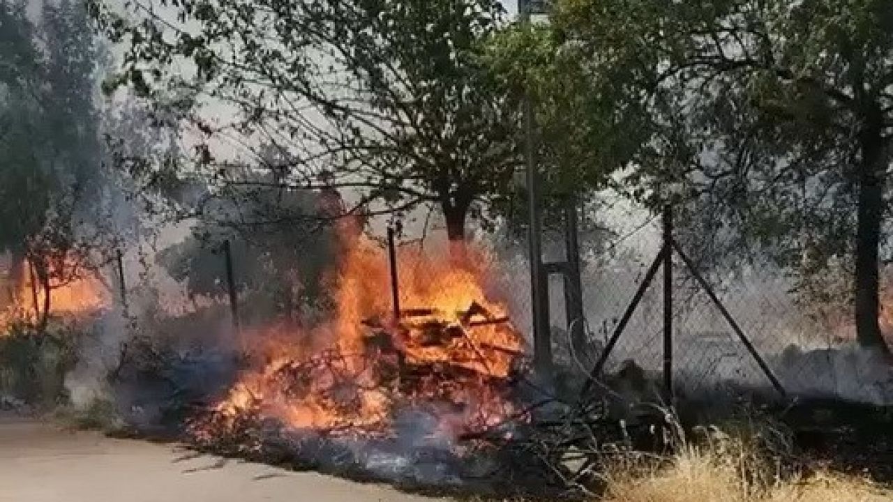 Karadağ Ormanlık alanda çıkan yangın korkuttu