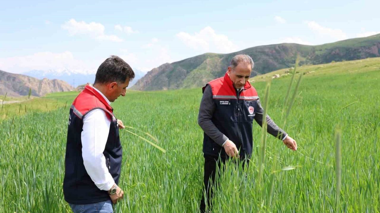 Kars’ta fenolojik gözlem çalışmaları sürüyor