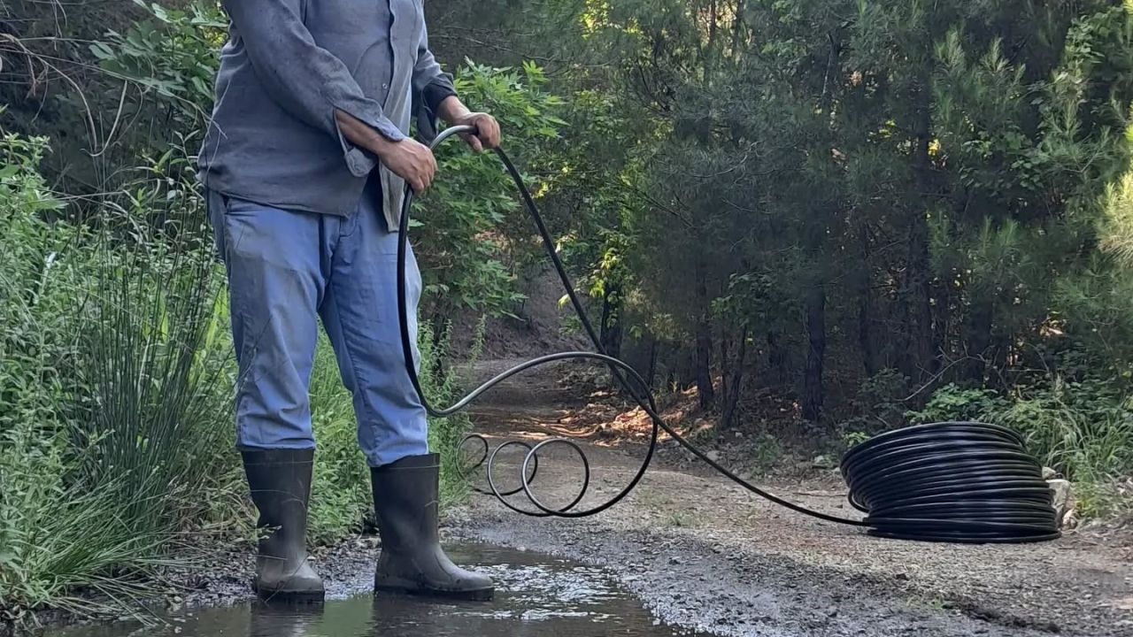Kazdağı Bal Ormanı Türkiye de örnek oldu