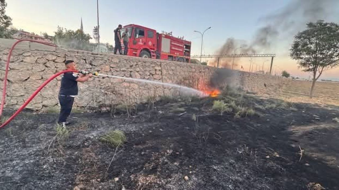 Kırıkhan’da zeytinlik alan yangını
