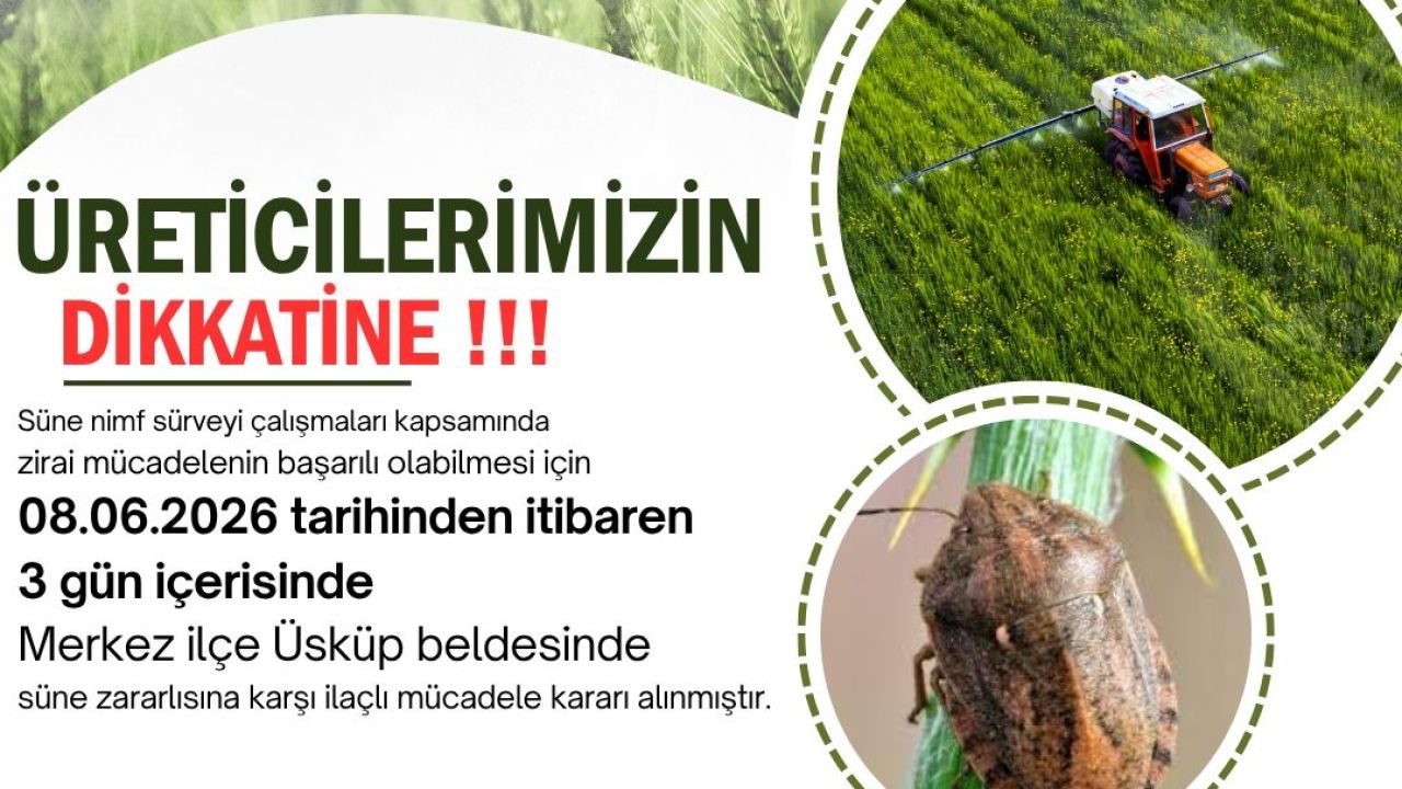 Kırklareli’nde süne alarmı: Üreticilere 3 günlük ilaçlama çağrısında bulunuldu