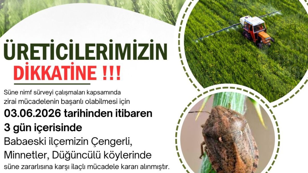 Kırklareli’nde süne zararlısına karşı ilaçlama uyarısı