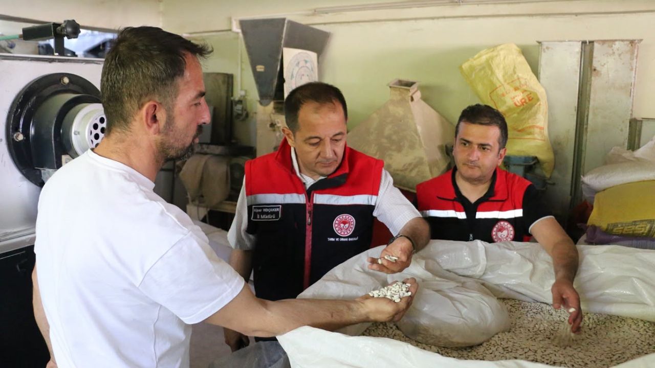 Koçaker, hububat ve bakliyat eleme tesisini ziyaret etti