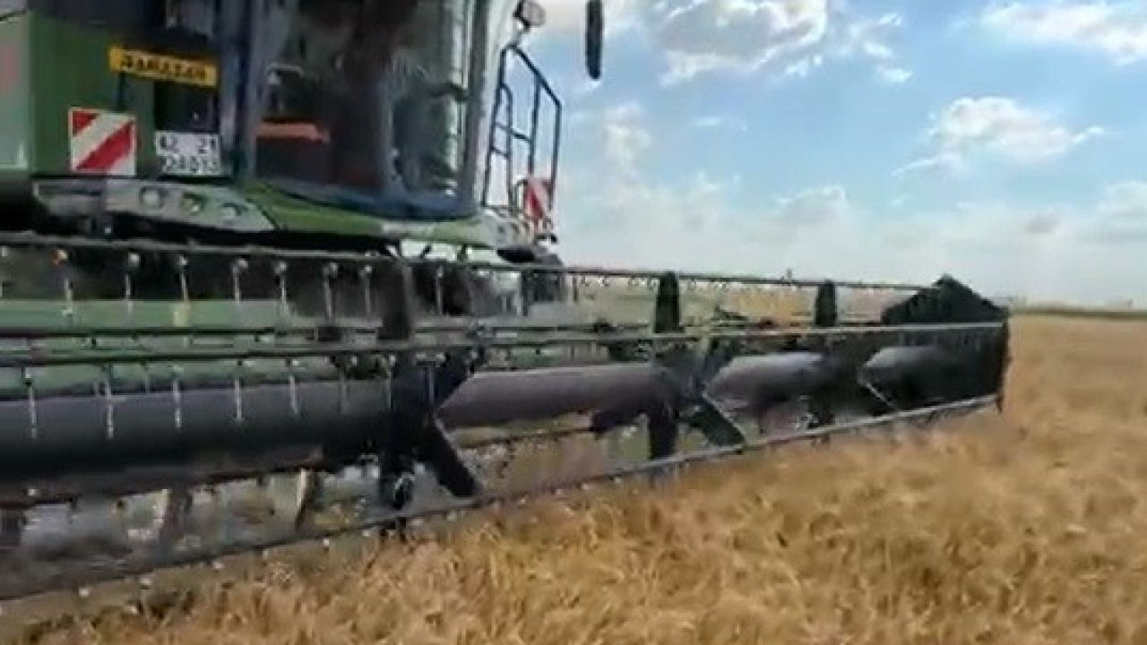 Konya’da hububat hasadı başladı