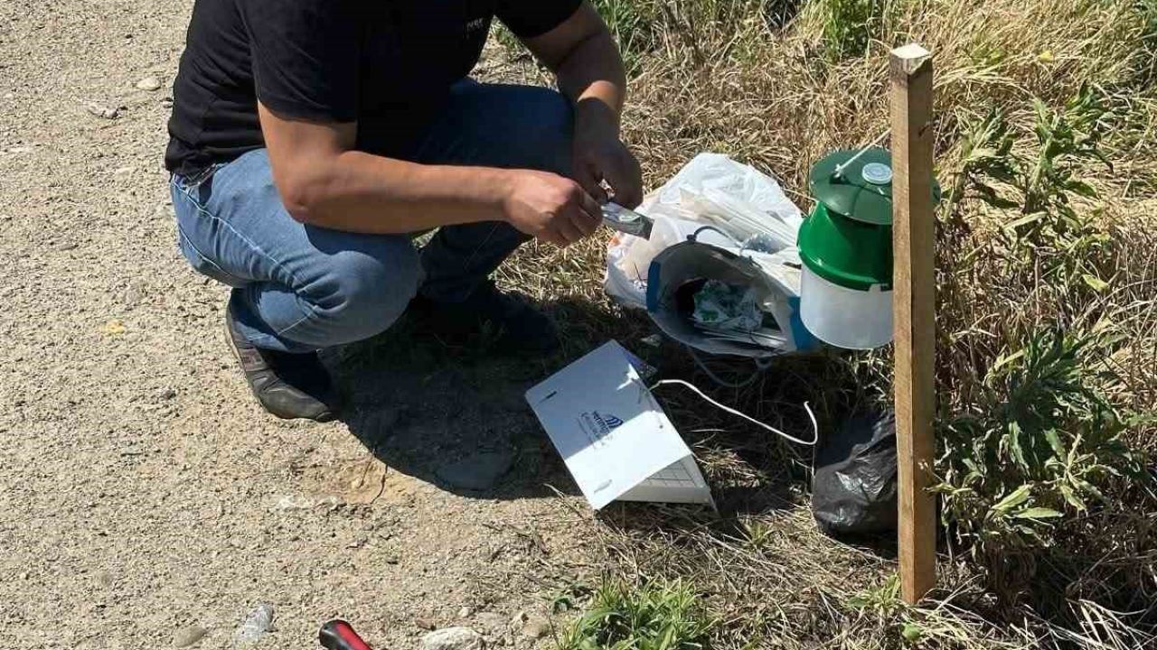 Köşk’te pamuk tarlalarına zararlı takibi için monitör tuzak kuruldu