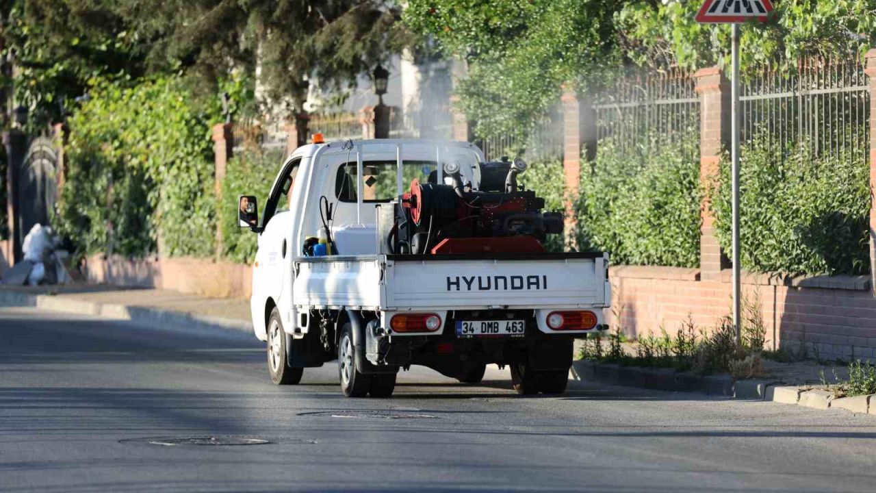 Küçükçekmece’de sivrisineklere karşı mücadele yoğunlaştı