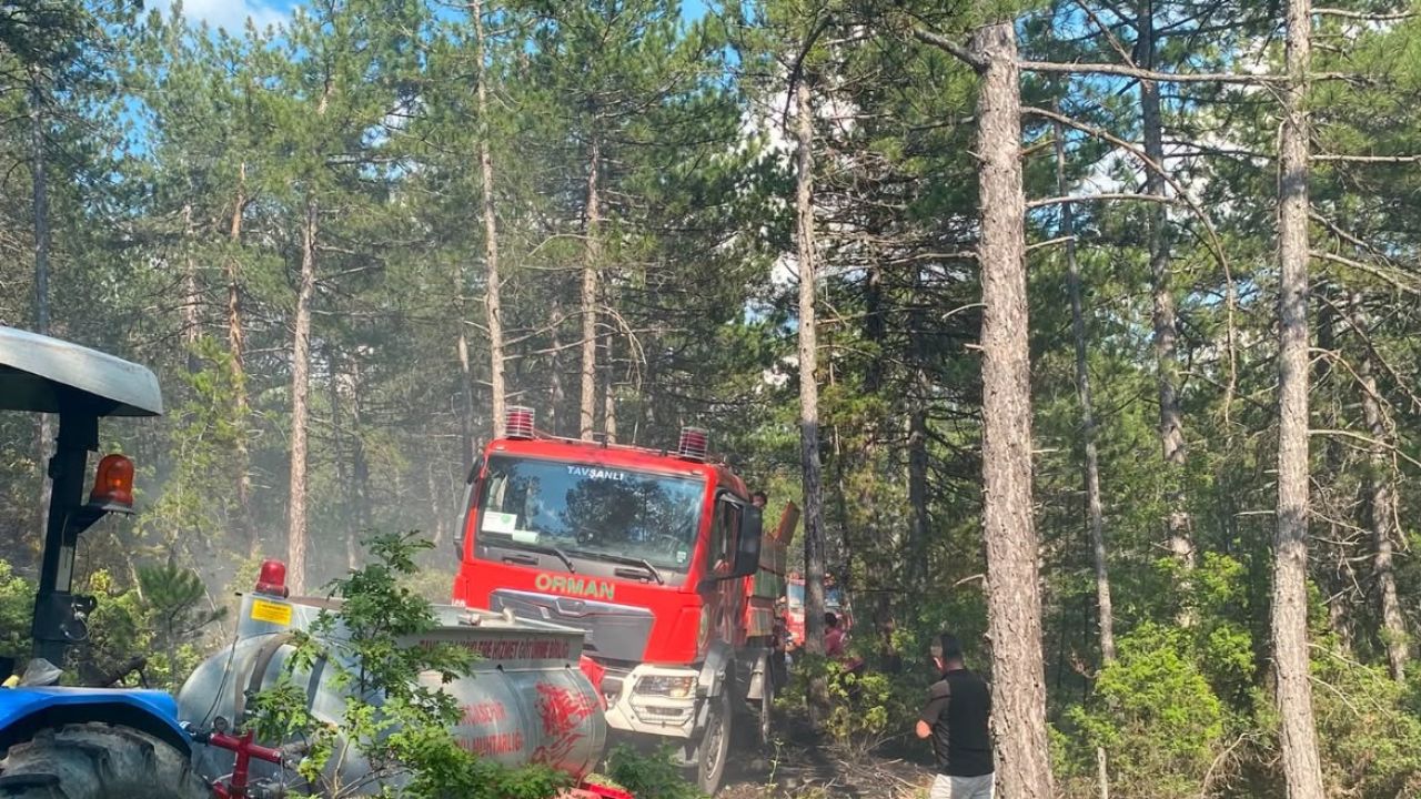 Kütahya’da yıldırım orman yangınına neden oldu