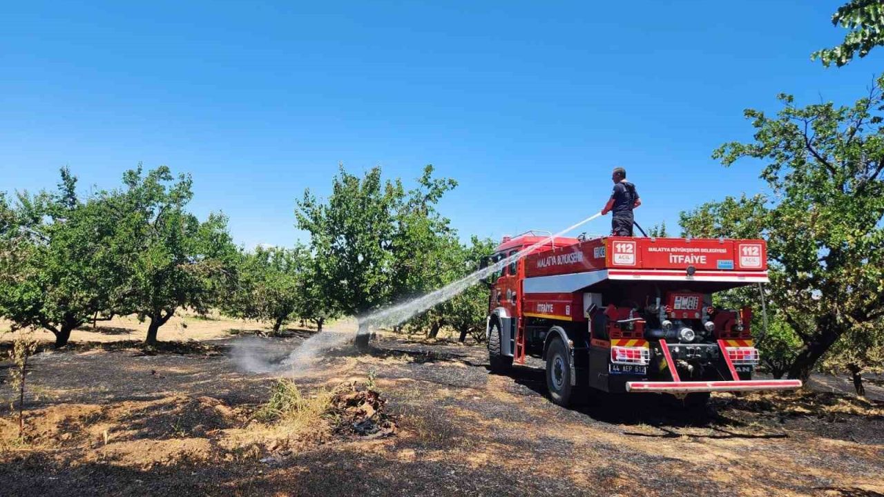 Malatya’da bahçe ve orman yangını