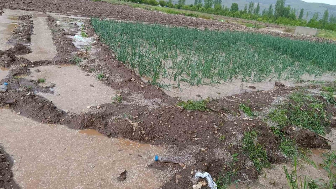 Malatya’da dolu yağışı tarım arazilerini sular altında bıraktı