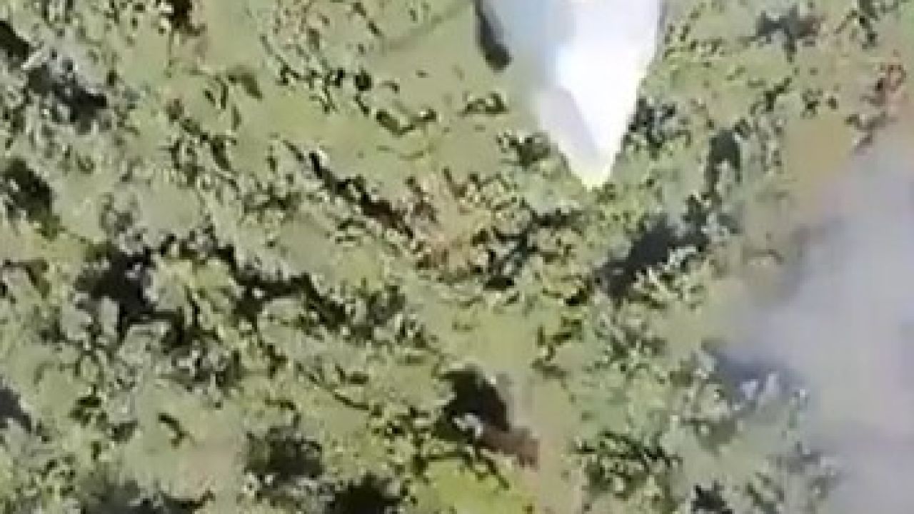 Manisa’daki orman yangını kontrol altına alındı