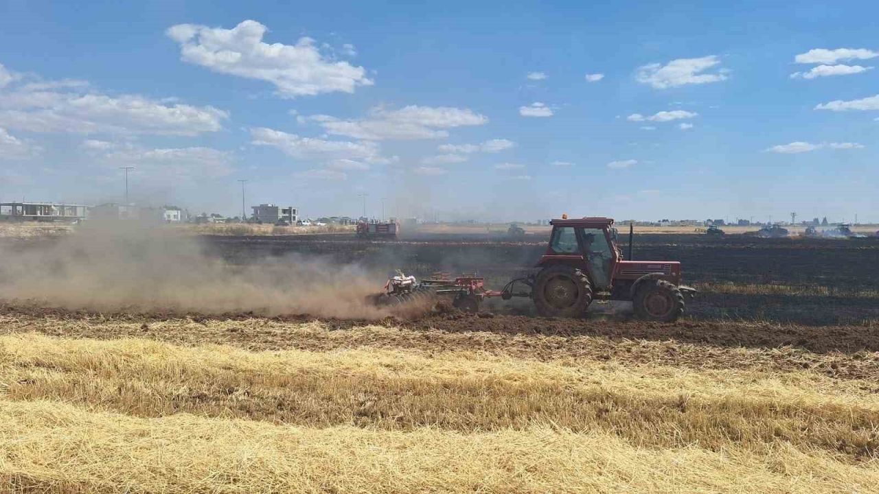 Mardin’de 80 dönüm buğday ekili alan küle döndü