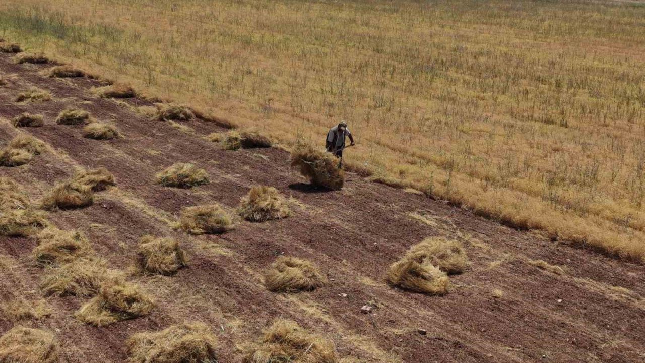 Mardin’de çiftçilerin yoğun mesaisi başladı