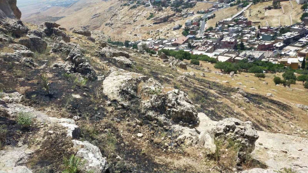Mardin’de ormanlık alanda çıkan yangın söndürüldü