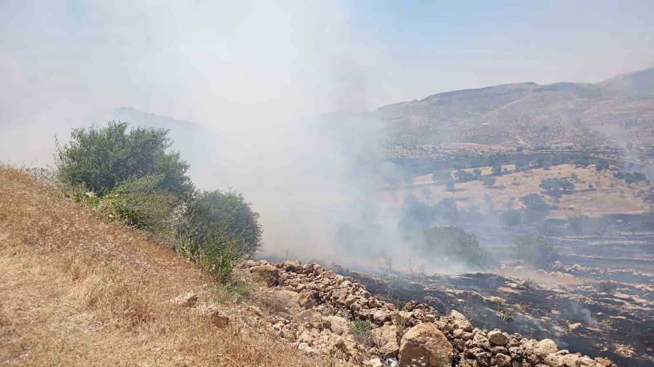 Mardin’de ormanlık alanda çıkan yangına müdahale ediliyor