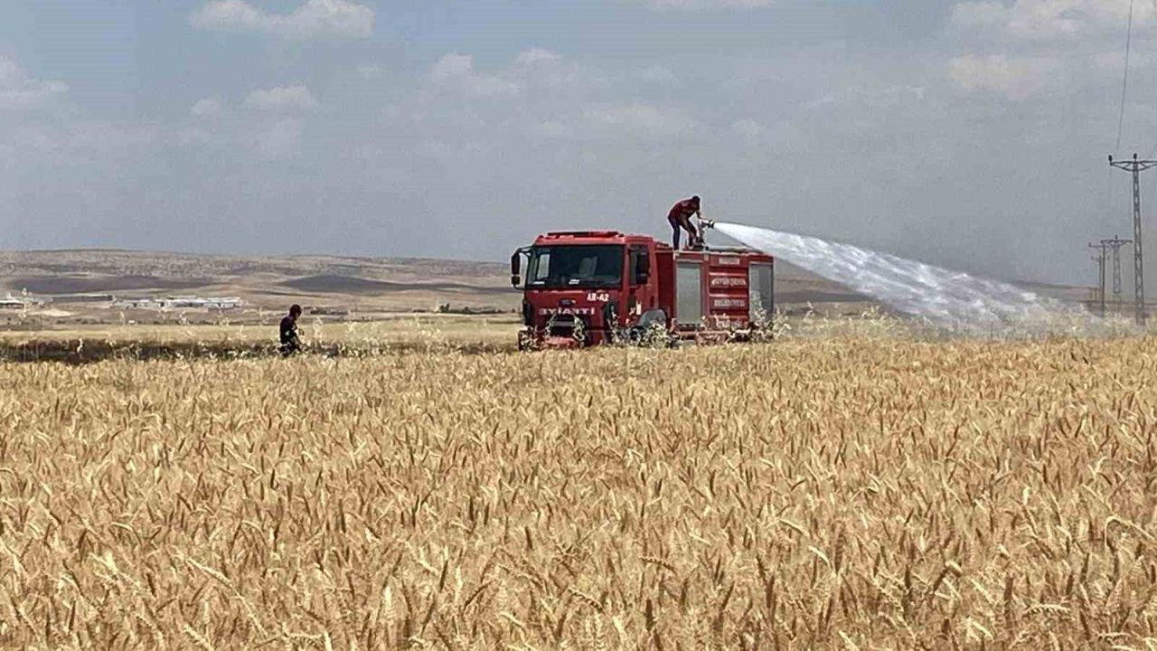Mardin’de yaklaşık 300 dönüm ekili alan alevlere teslim oldu