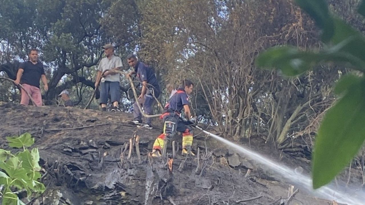 Marmara’da çıkan ot yangını ormana sıçramadan söndürüldü