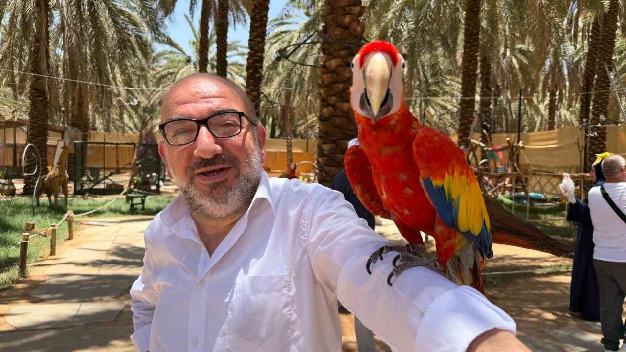 Medine’de papağanlar hacı ve umrecilerin ilgi odağı oldu
