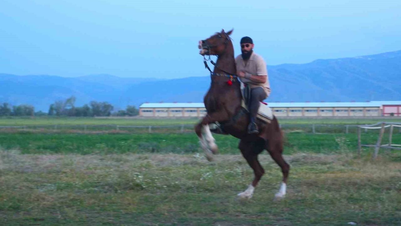 "Mehmet: Fetihler Sultanı" oyuncusu Mustafa Kaya, Muş’ta film atlarını hazırladı