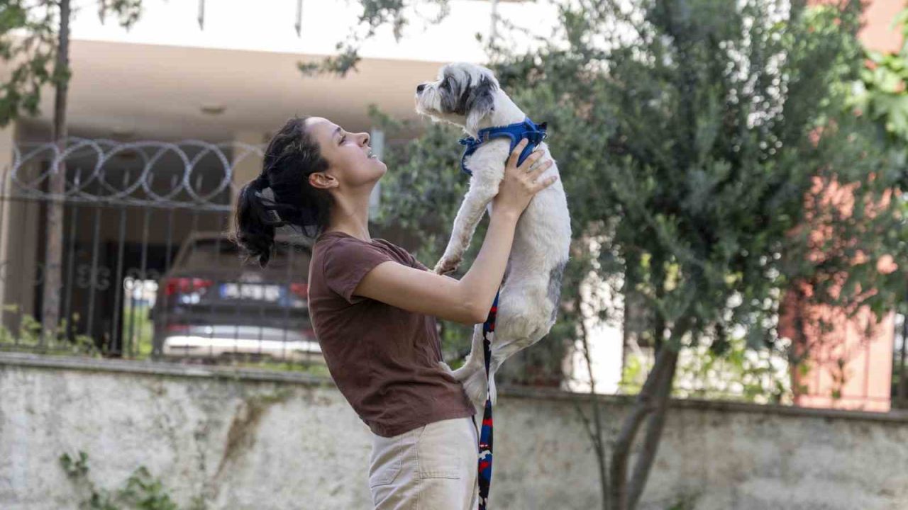 Mersin’de sahiplendirme kampanyasıyla bin 927 köpek yeni yuvasına kavuştu