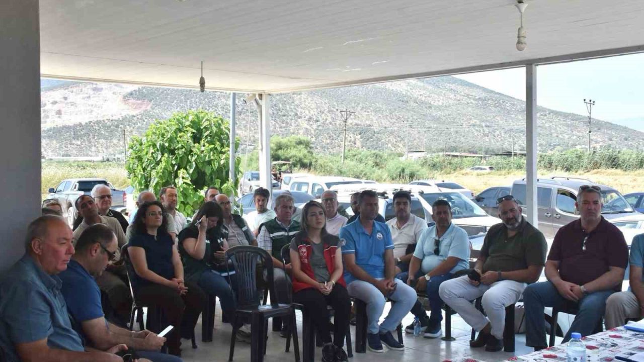 Milas’ta ‘Tarla Balıkçılığı’ için ortak akıl toplantısı