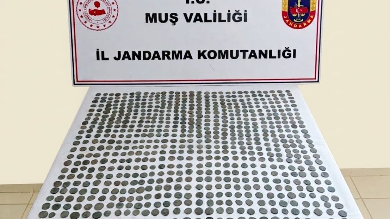 Muş’ta 749 adet tarihi sikke ele geçirildi