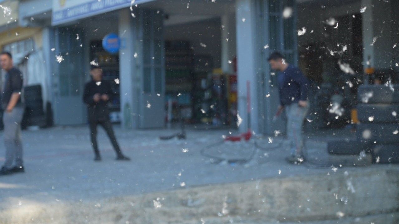 Muş’ta kavak polenleri esnafı olumsuz etkiliyor