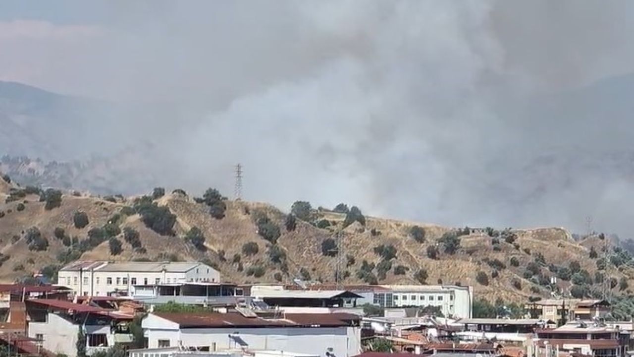 Nazilli’de zirai alan yangını