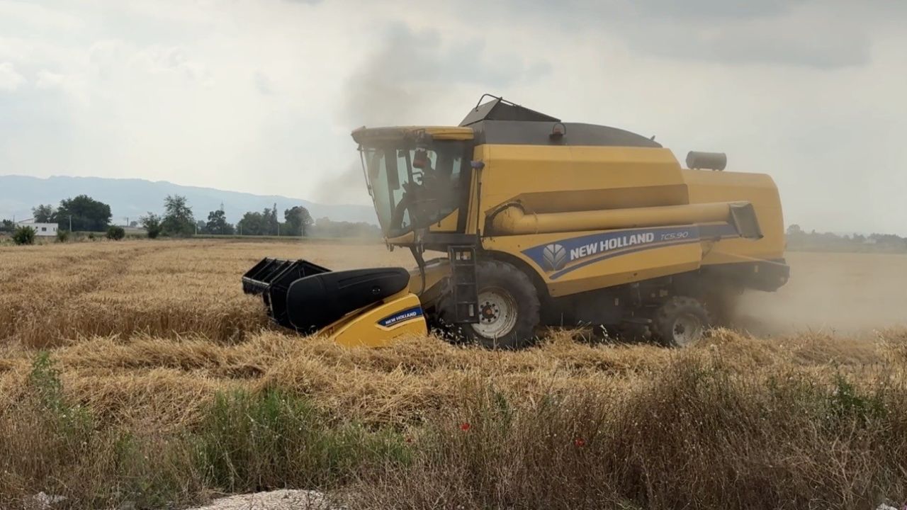 Osmaniye’de 15 gün gecikmeli başlayan hasatta yüksek verim sevinci