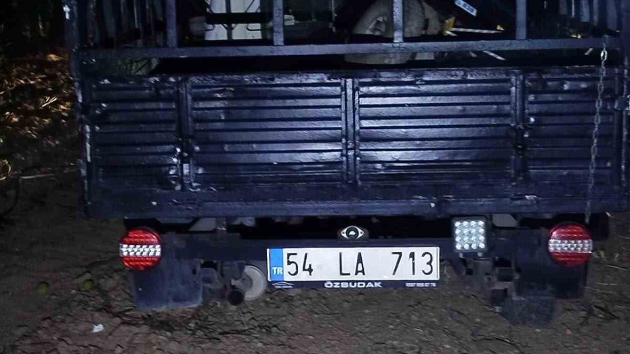 Otomobil ağaca çarptı: 2 yaralı