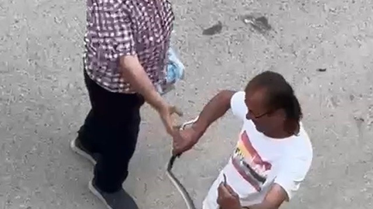 Paniğe sebep olan yılanı eliyle yakaladı