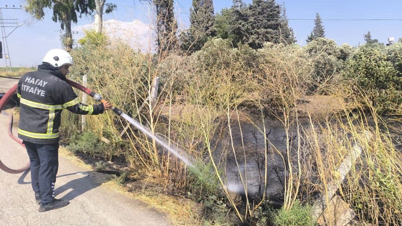 Reyhanlı’da zeytinlik alandan alevler yükseldi