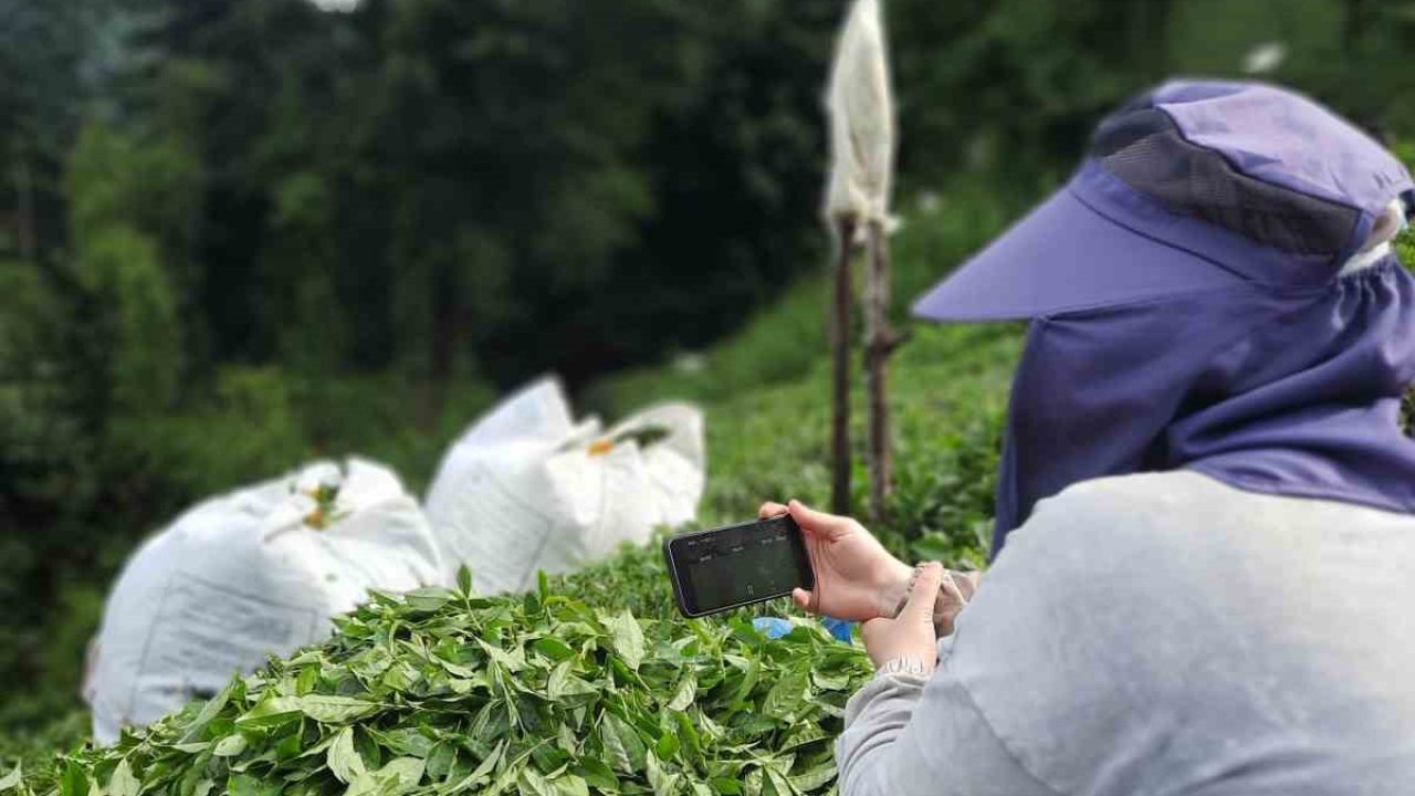 Rize’de çay bahçesinde milli maç heyecanı
