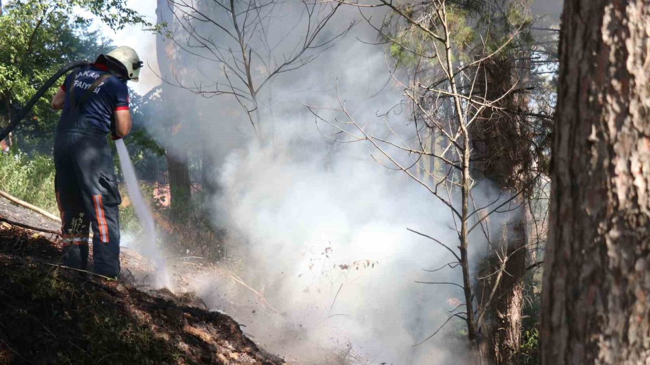 Sakarya’da ağaçlık alanda korkutan yangın