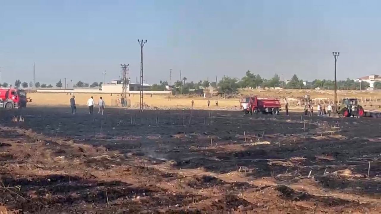Şanlıurfa’da çıkan yangında 60 dönüm buğday ekili alan zarar gördü
