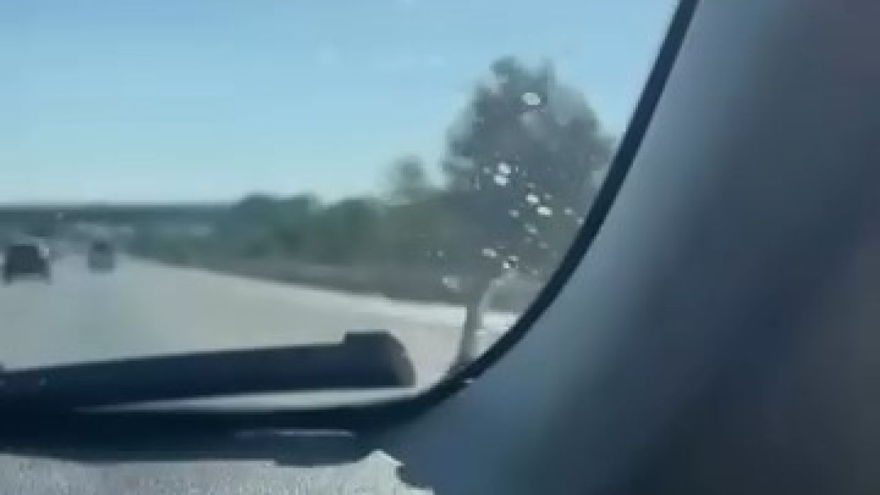 Seyir halindeki aracın kaputunda yılan paniği