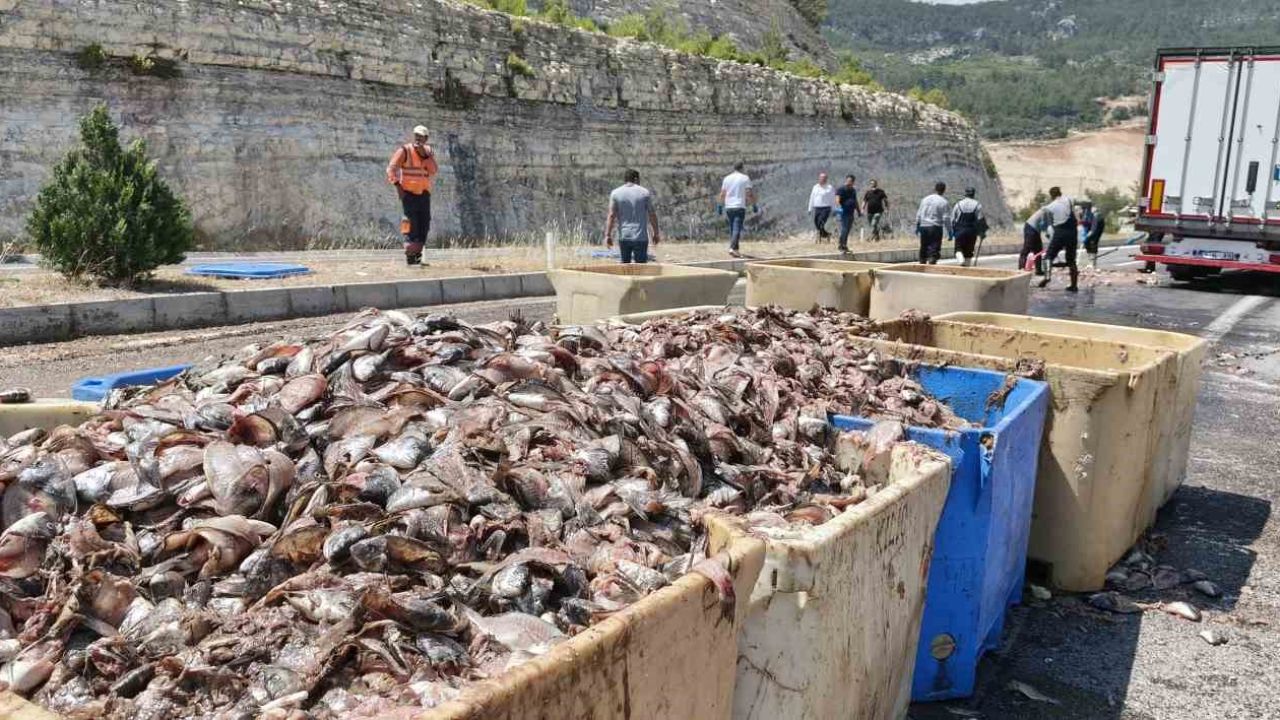 Seyir halindeki tırın dorsesi patladı, 15 ton balık atığı yola saçıldı