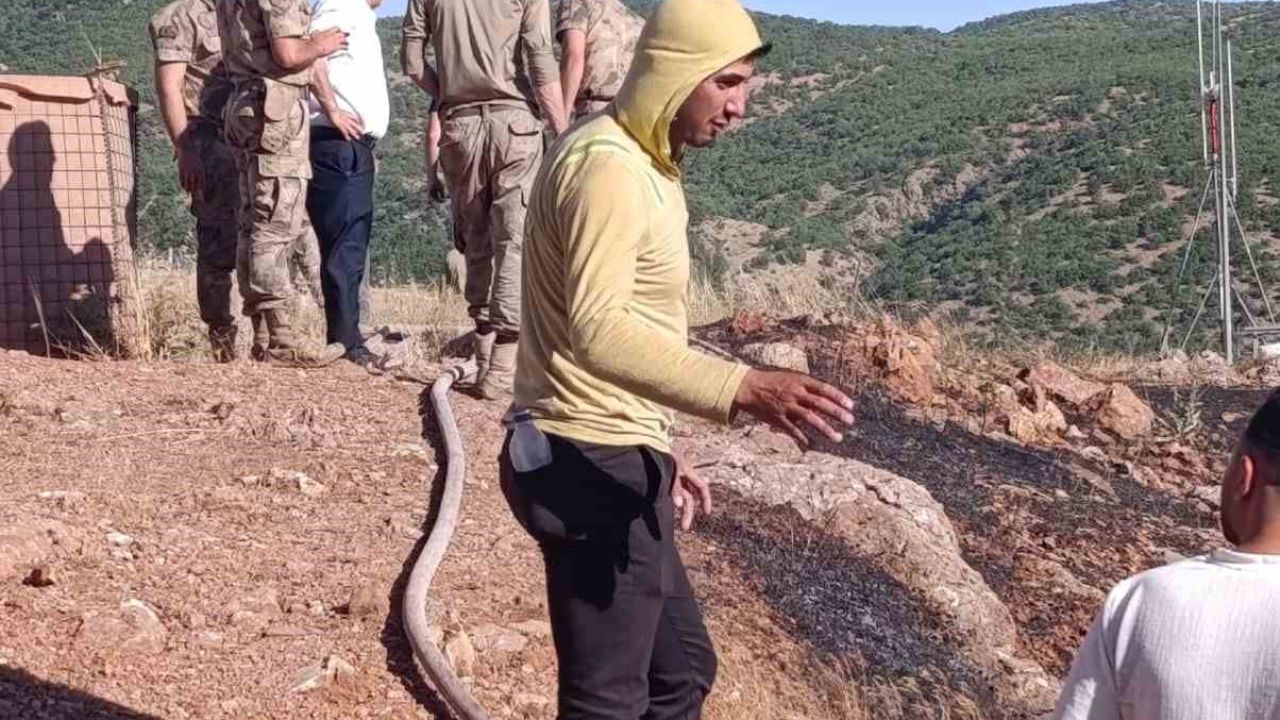 Siirt’te çıkan yangın ekiplerin müdahalesiyle söndürüldü