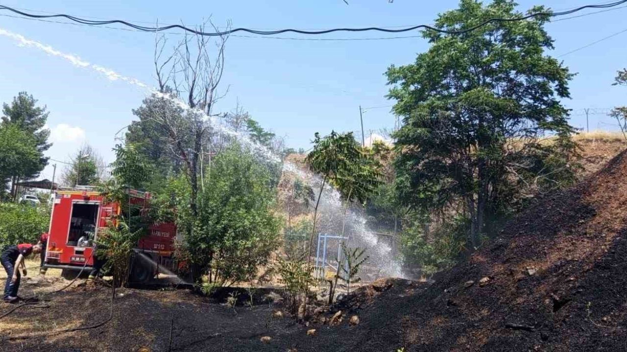 Siirt’te iş makinesinden çıkan kıvılcımı otluk alanı yaktı