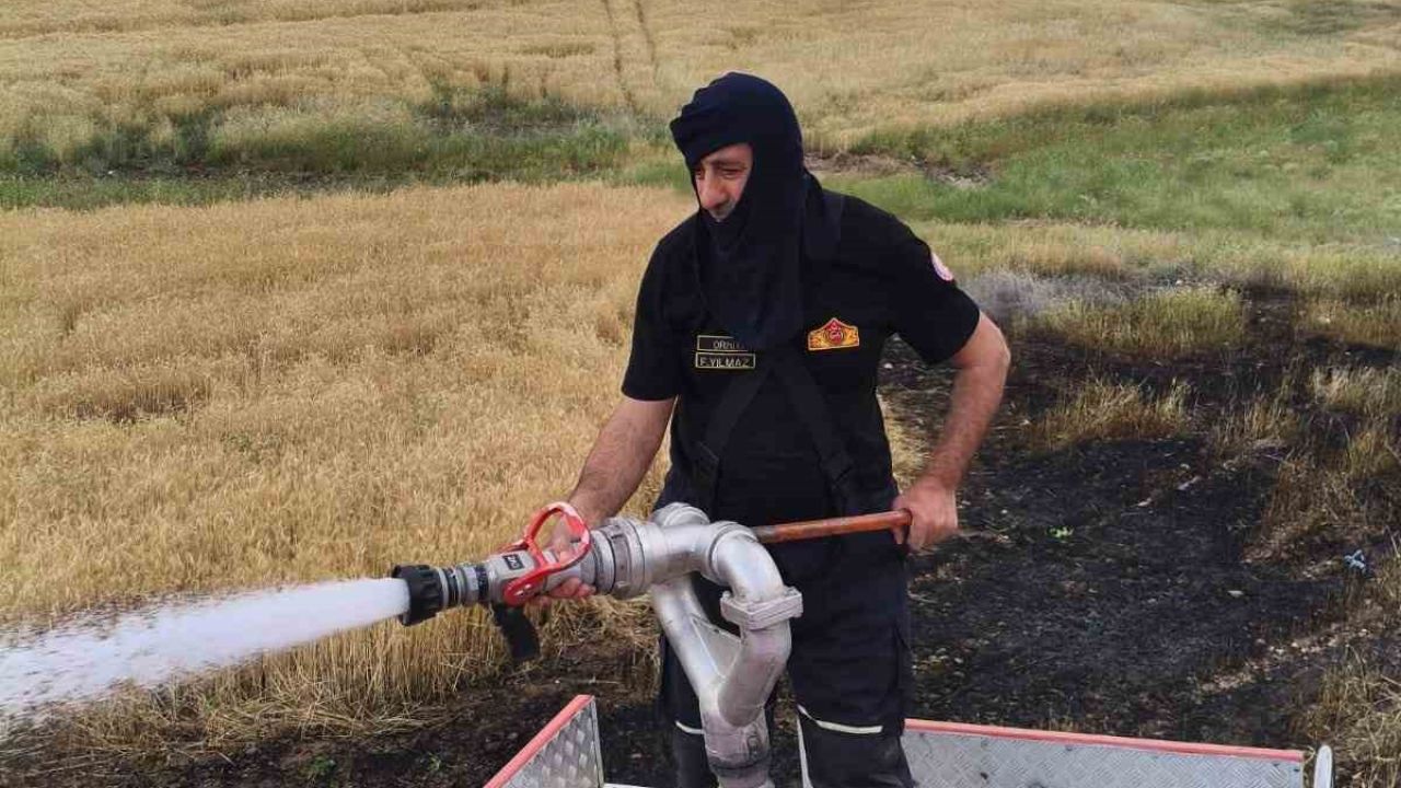 Silvan’da 2 dönümlük ekili alan kül oldu