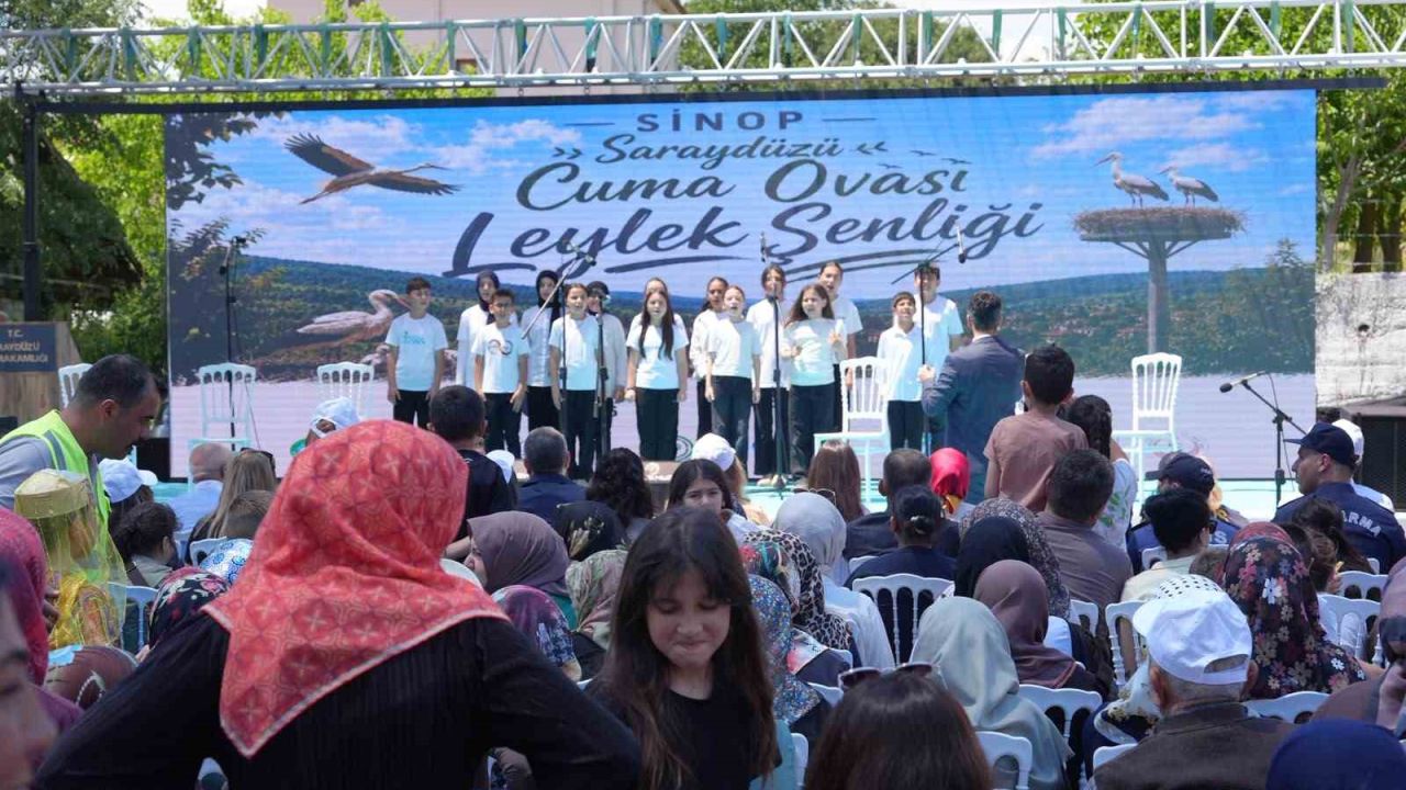 Sinop’ta Leylek Şenliği: Yavrular halkalandı