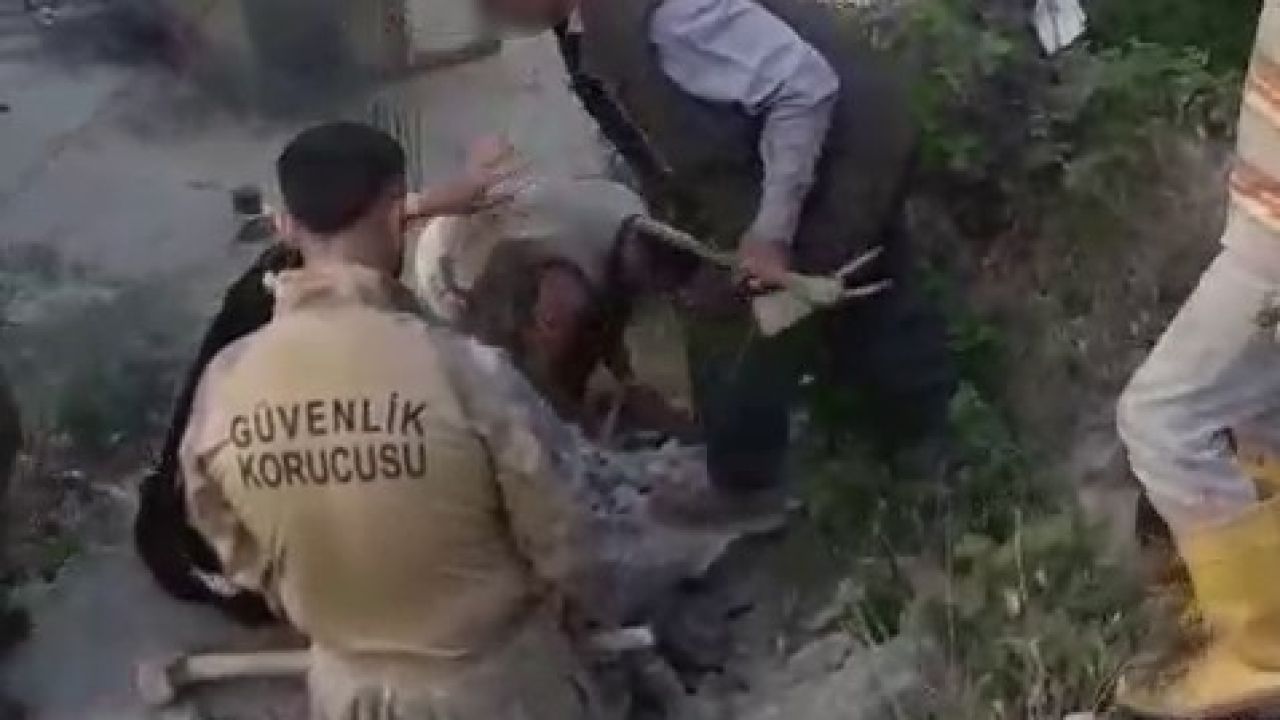Şırnak’ta kadına şiddet iddiası: 2 gözaltı