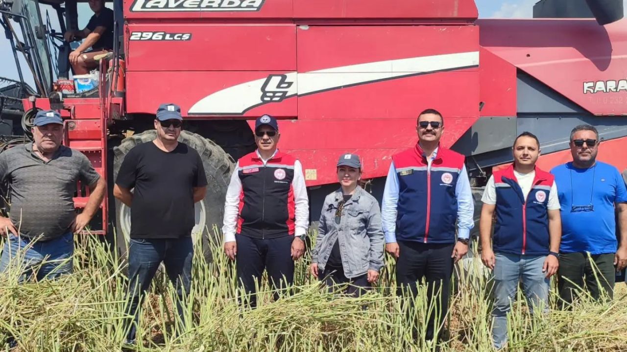 Söke’de kanola hasadı gerçekleştirildi