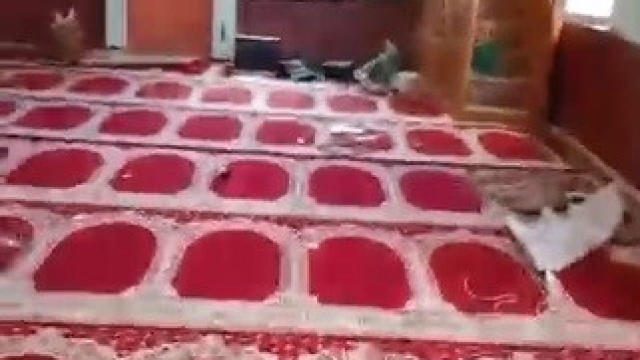 Tahrip edilen köy camisi belediye ekiplerince yeniden ibadete hazır hale getirildi