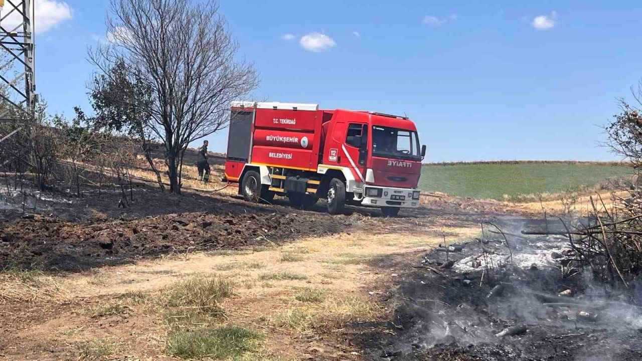 Tekirdağ’da 25 dönüm buğday ekili alan yandı