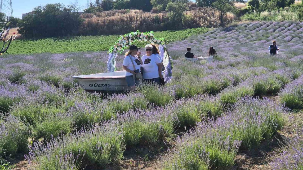 Tekirdağ’da Lavanta Şenliği başladı