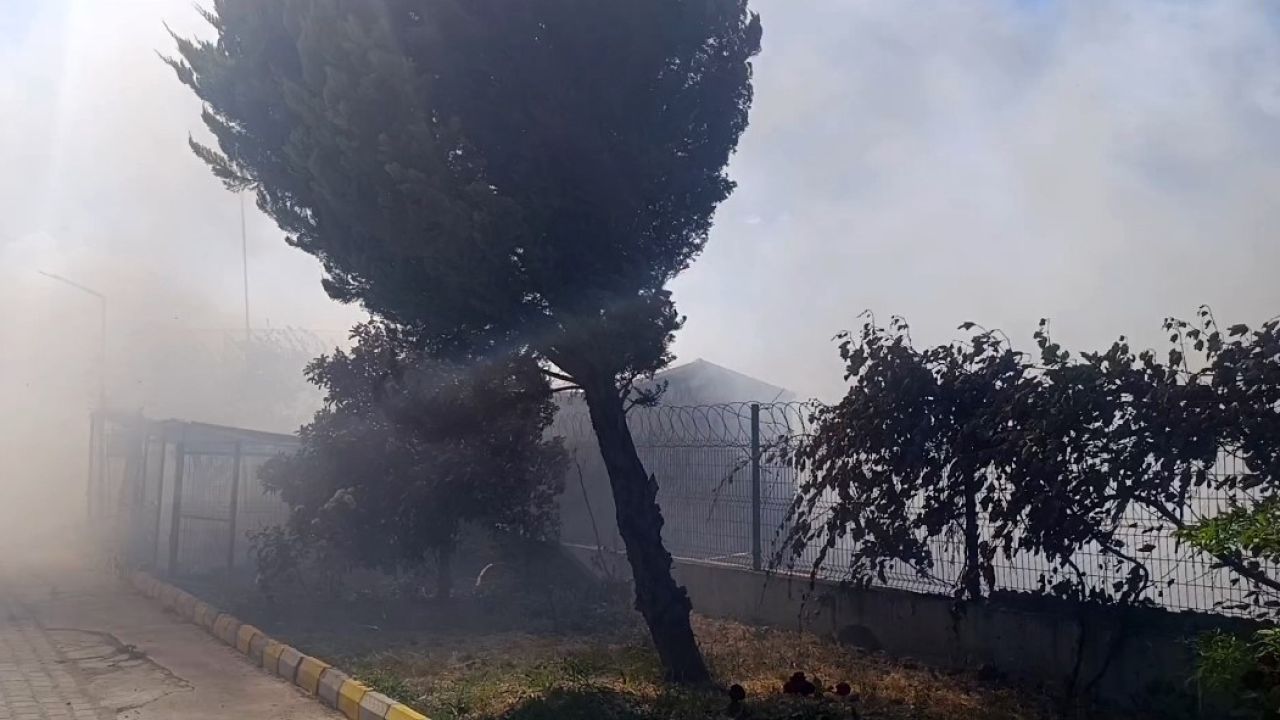 Tekirdağ’da tarım arazisinde başlayan yangın: Alevler 4 farklı noktaya sıçradı