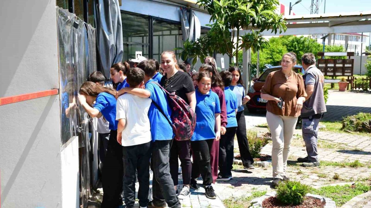 Terme’de ’doğa’ sevgisi