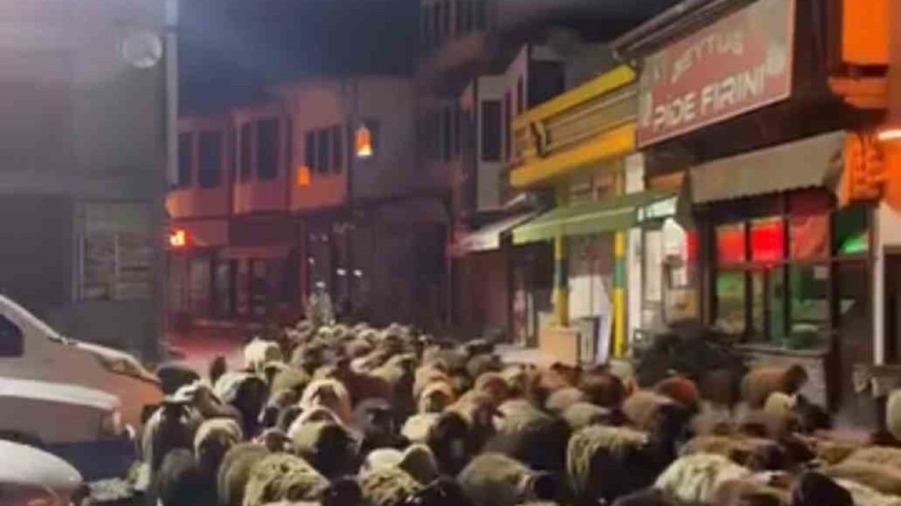 Tokat’ta yayla göçünde yüzlerce koyun şehir merkezinden geçti